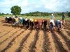 Farmers Singing in Ghana