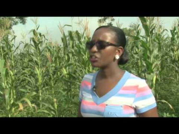 A Ugandan Small Scale Farmer