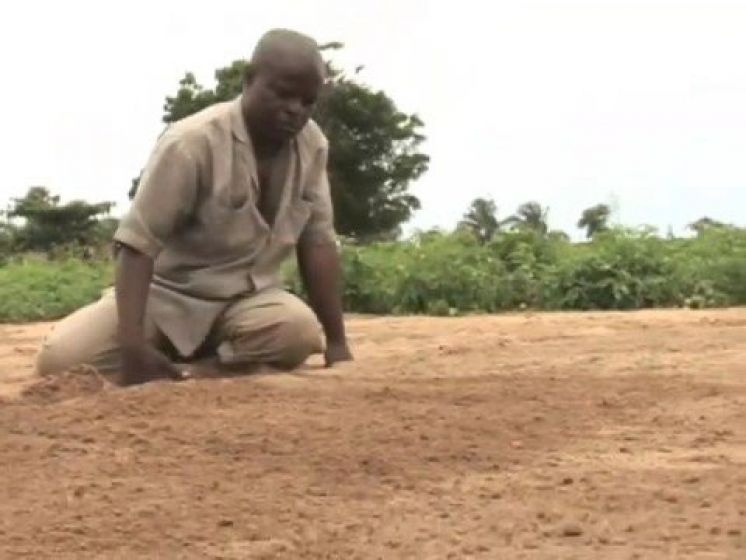 Vegetable Farming in Tettekope, Ghana