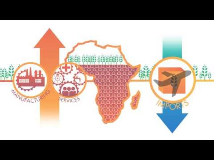 Africaâs future 2035